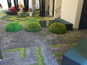 GRASSY DOME Surfaces